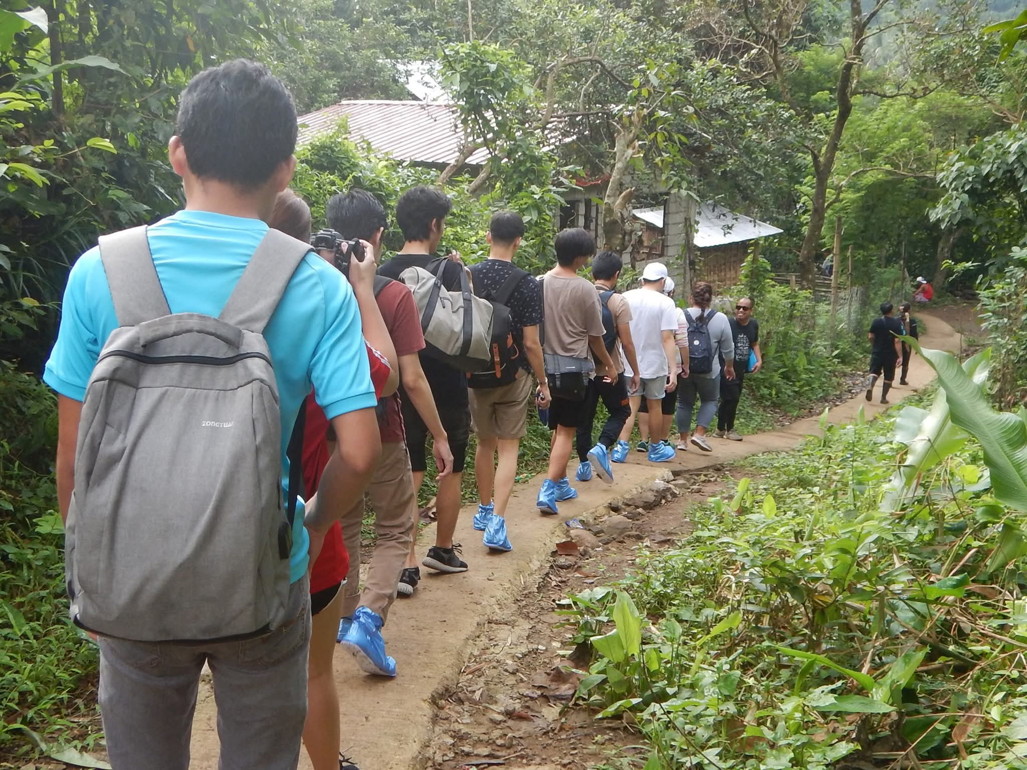 Tree-planting