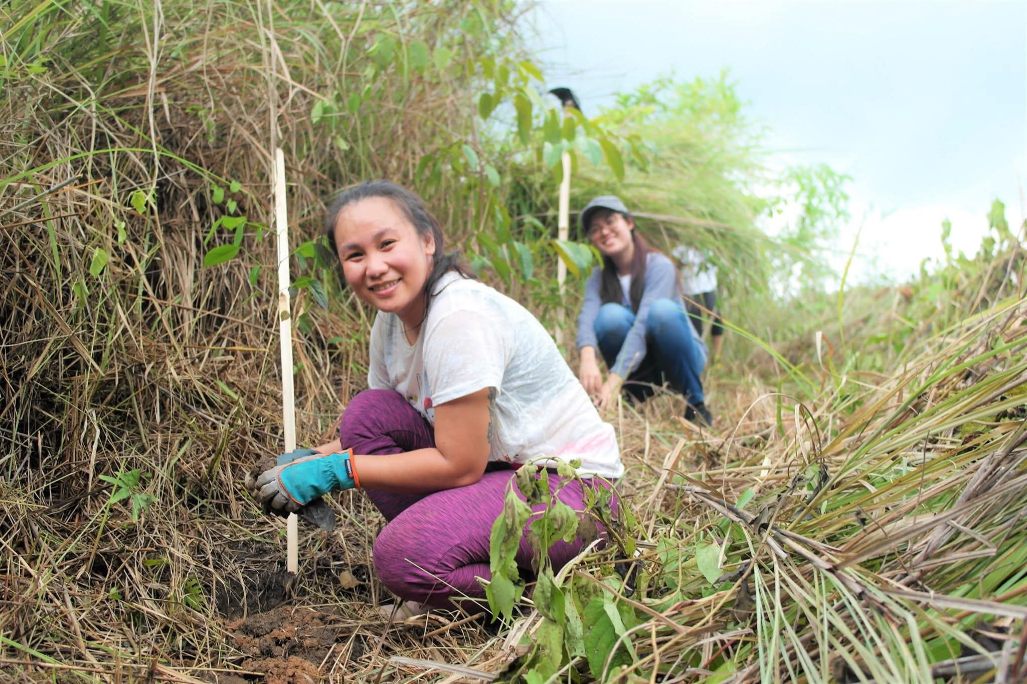 Tree-planting