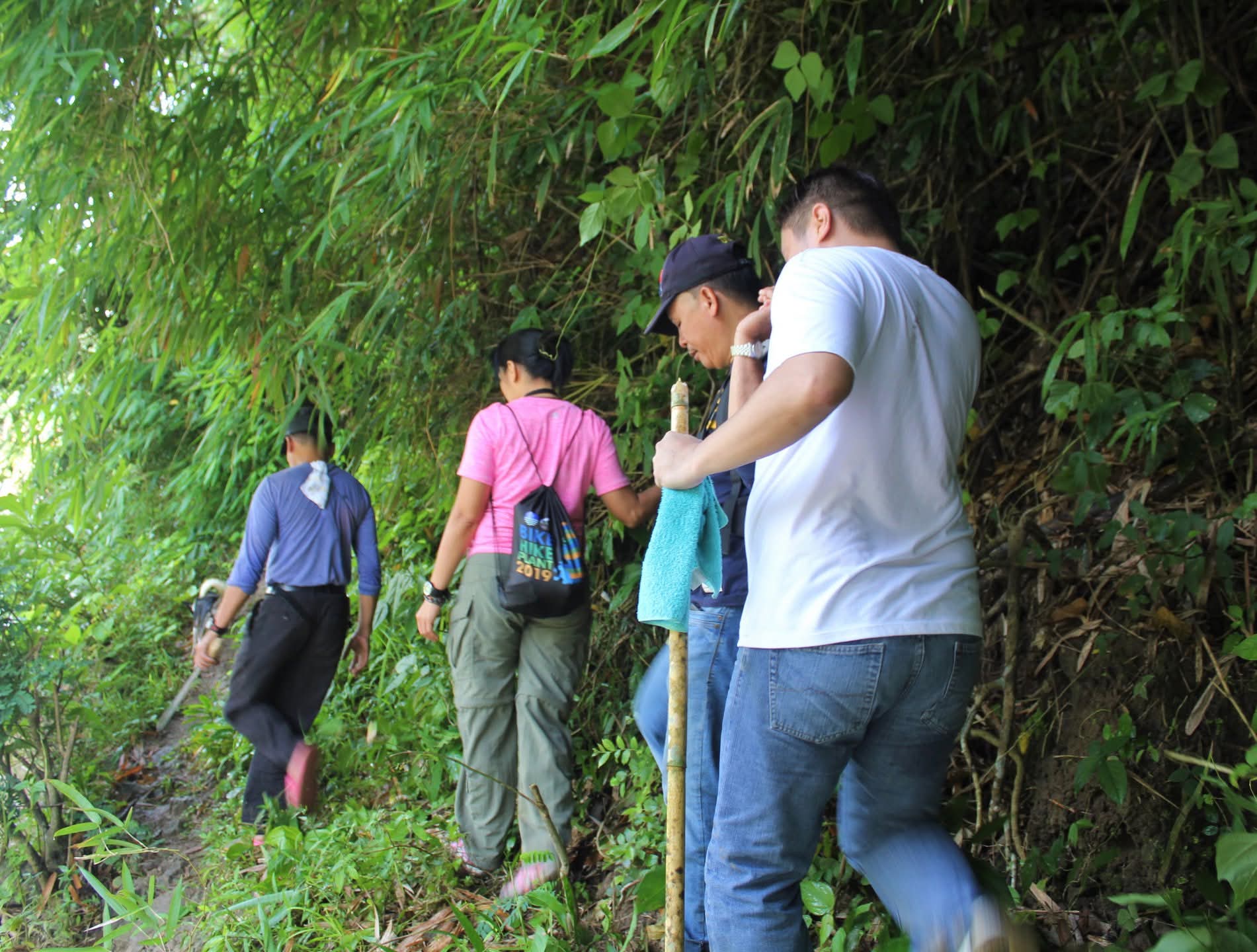 Tree-planting