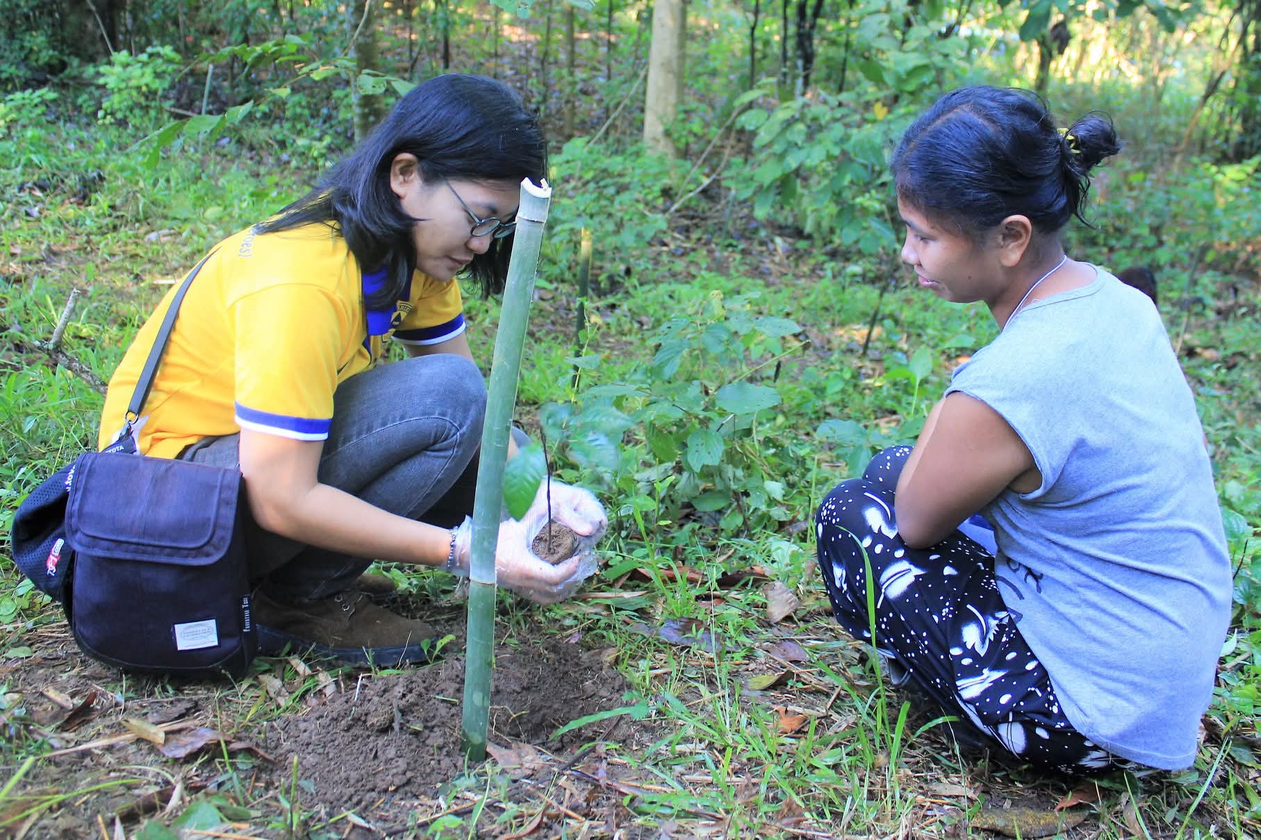 Tree-planting