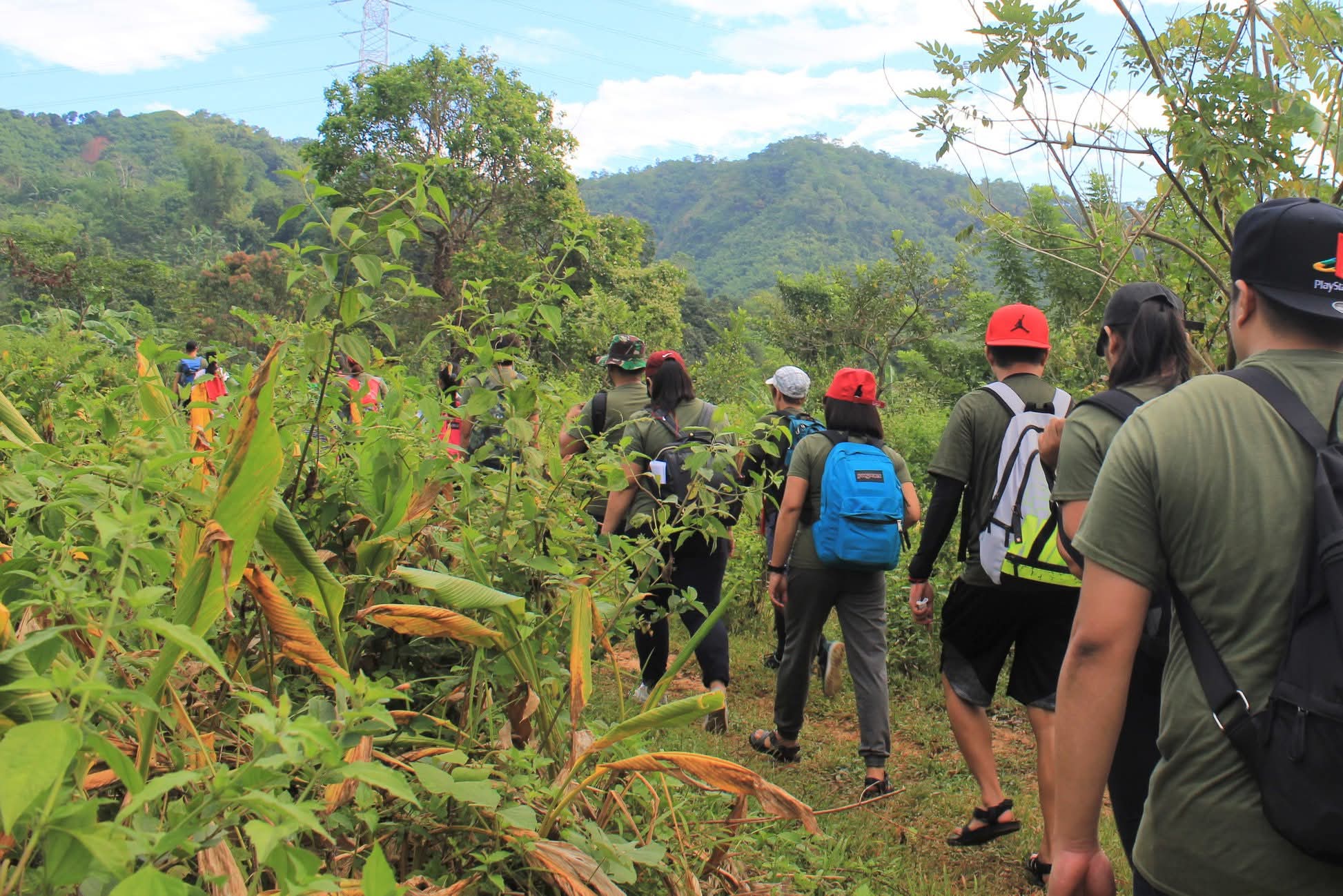 Tree-planting
