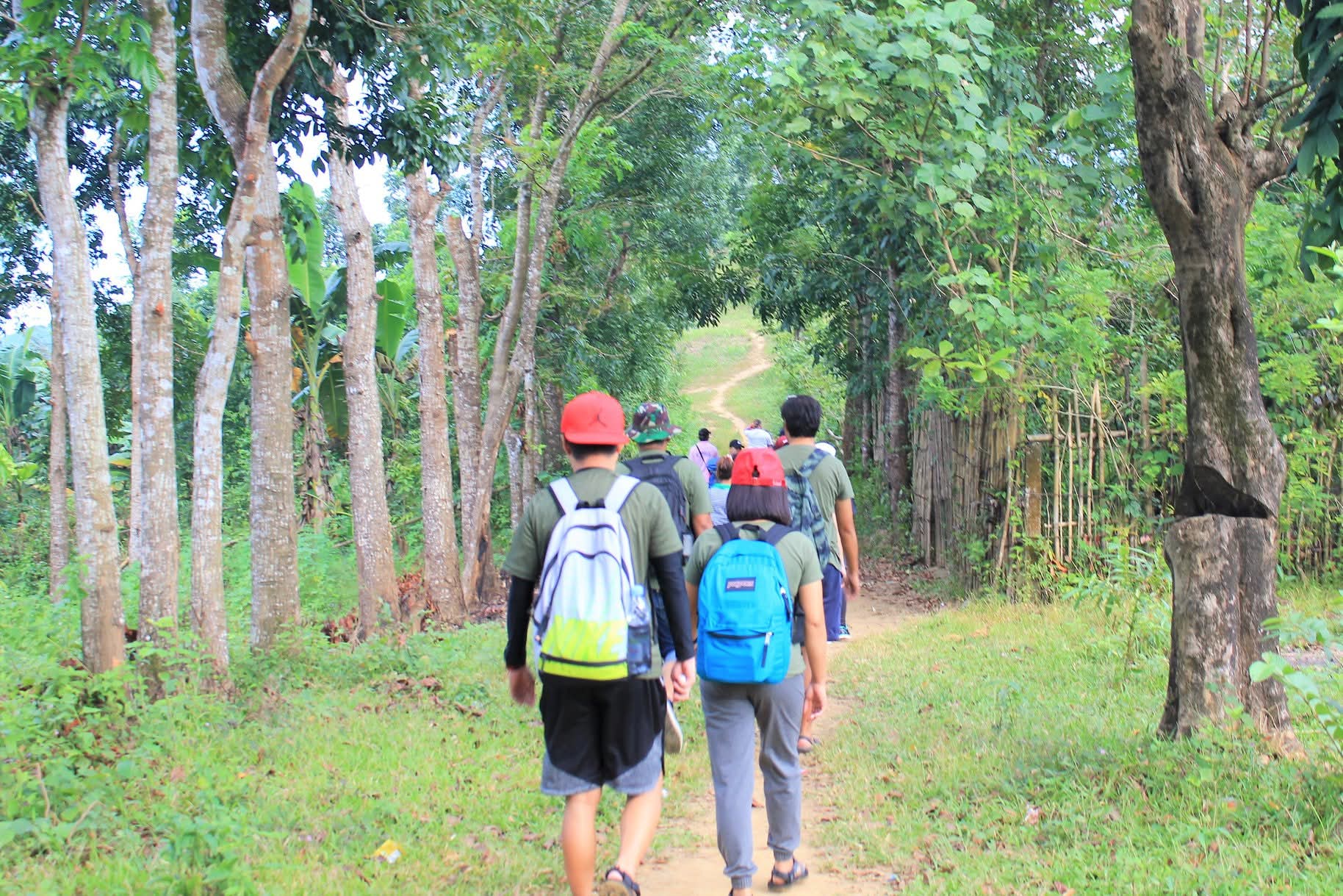 Tree-planting