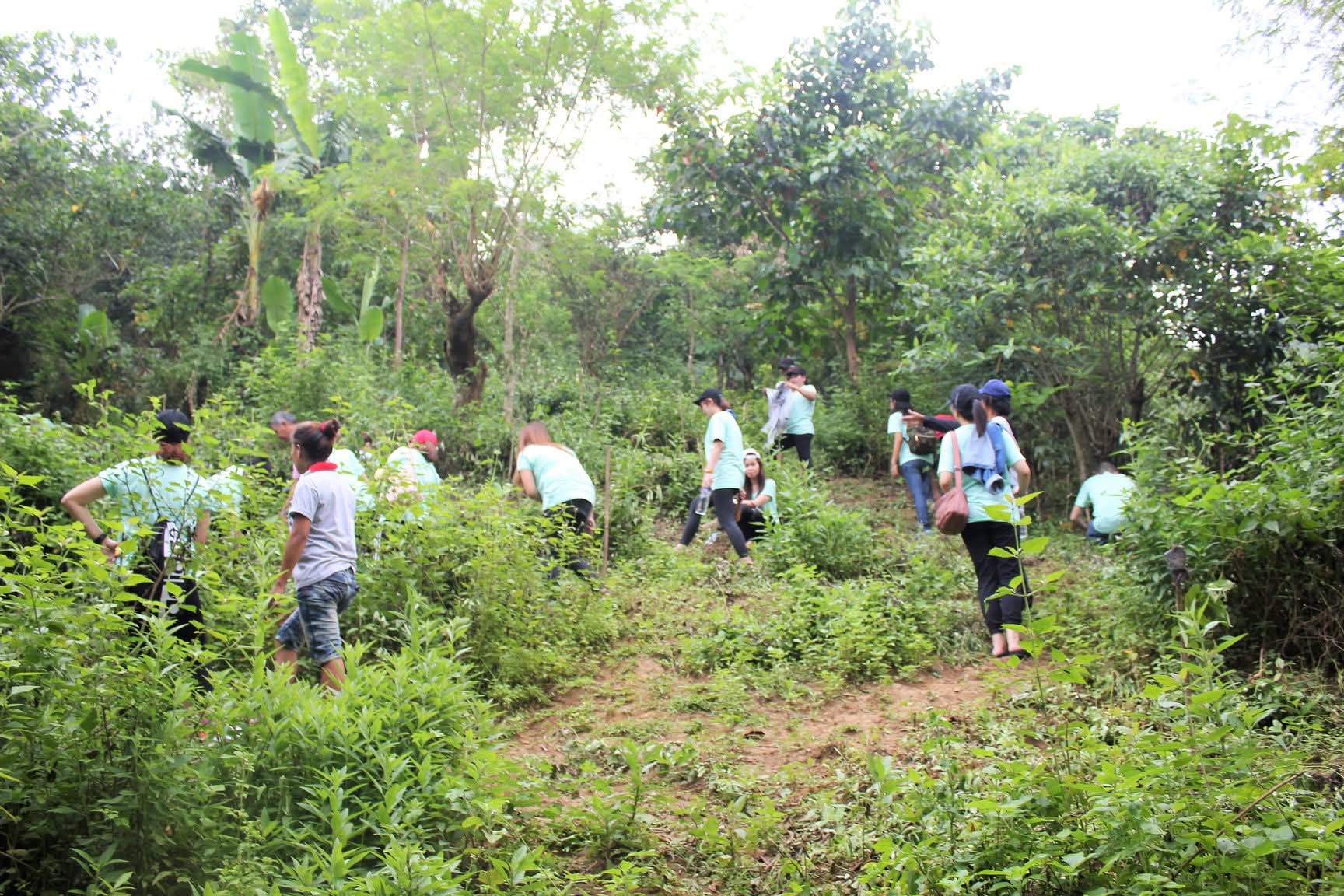 Tree-planting