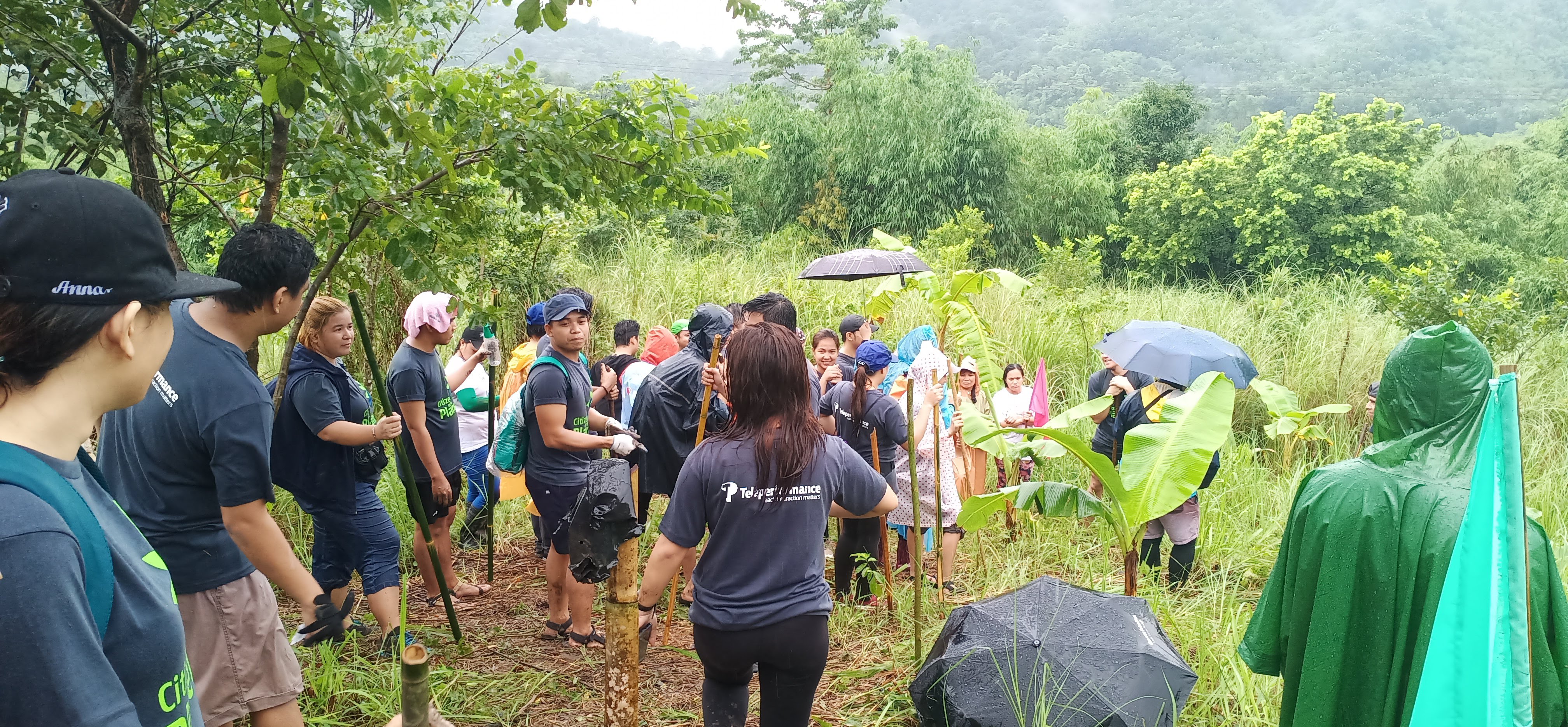 Tree-planting